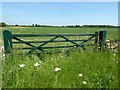 SP1606 : Field gate by Philip Halling