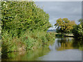 SJ3731 : Llangollen Canal near Lower Frankton by Roger  D Kidd