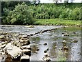 SE0262 : Stepping stones over the River Wharfe by Graham Hogg