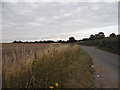 Gaddesden Lane near Hemel Hempstead