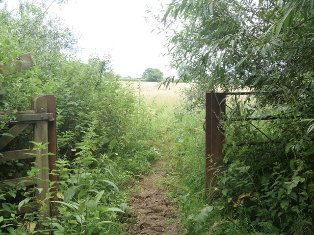 Into open fields