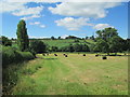 Field at Checkley