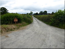 H4369 : Lane to farm, Loughmuck (Alcorn) by Kenneth  Allen
