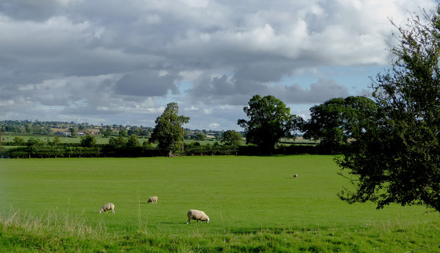 Pasture south-east of Tetchill, Shropshire