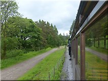 SO0513 : Approaching a level crossing, Brecon Mountain Railway by Robin Drayton