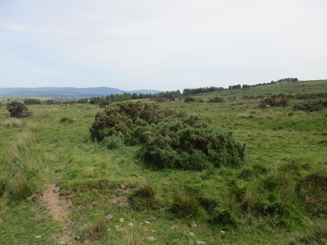 Rough grazing near Knockatullane © Jonathan Thacker :: Geograph Ireland