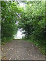 Footpath south of Great Chalfield