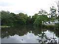 Mill Pond, Hayle