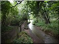 Footbridge over Stream