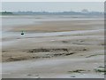 SD3447 : Buoy 23A, Wyre estuary, Fleetwood by Christine Johnstone