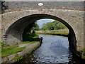 Llangollen Canal south-west of Tetchill, Shropshire