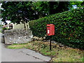 Queen Elizabeth II postbox and a hedge, Nibley Lane, Nibley, South Gloucestershire