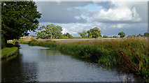 SJ3832 : Llangollen Canal north-west of Tetchill, Shropshire by Roger  D Kidd