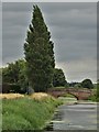 Pilfrey Farm - bridge over Hatfield Waste Drain