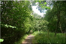 SK9618 : Path at the edge of Morkery Wood by Tim Heaton