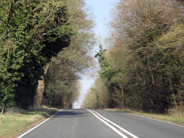Basingstoke Road heading towards Basingstoke