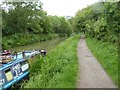 Canal towpath on edge of Bradford-on-Avon