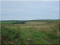 SW3825 : Grassland near Bosanketh Farm by JThomas