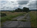 NJ3563 : Perimeter track, RAF Dallachy, Moray by Claire Pegrum