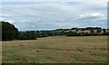 Farmland near Westhope