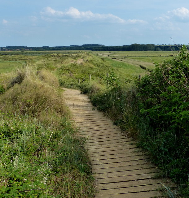 Boardwalk along the Norfolk Coast Path