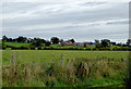 SJ5446 : Farmland near Norbury in Cheshire by Roger  D Kidd