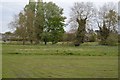 Water meadows