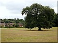 Berry Hill Park, Mansfield, Notts.