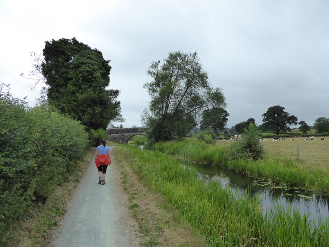 Walking the towpath of the Montgomeryshire Canal