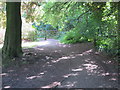 Footpath along the north bank of the River Wharfe in Ilkley