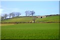 SX8872 : Farmland, Ware Barton by N Chadwick