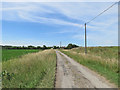 The road to Dernford Farm