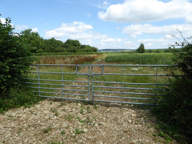 Field gate