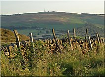 SK2581 : Field boundary - edge of Hathersage Moor by Neil Theasby