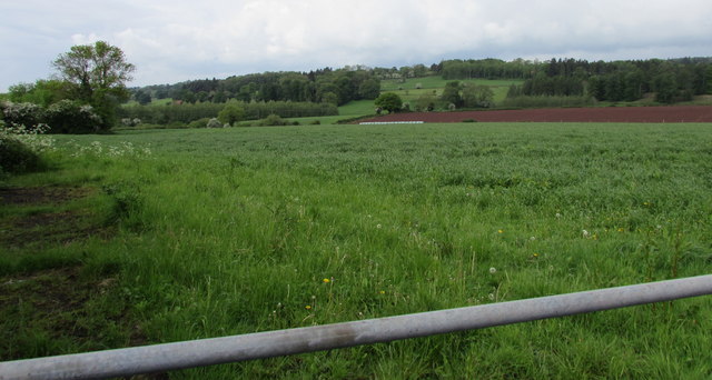 View from the northwest end of Grove Road, Lydney