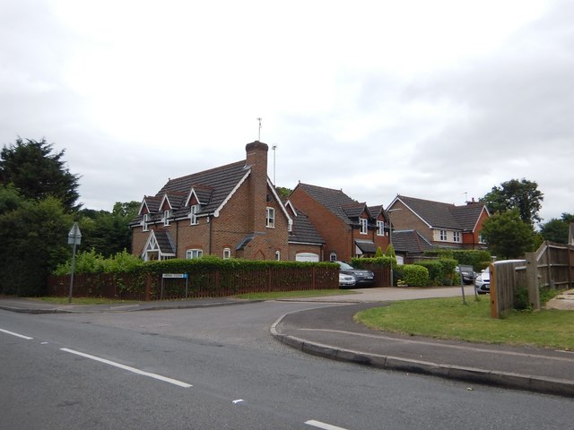 Modern Houses on The Mount