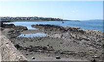 J5082 : Rocky foreshore east of 'The Long Hole' by Eric Jones