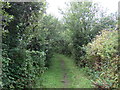 Bridleway towards Lizard Downs