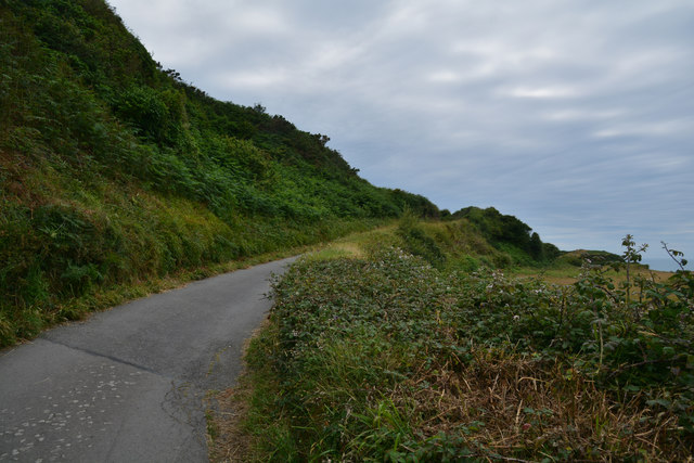 North Devon : Small Road
