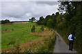 Cornwall : Country Lane