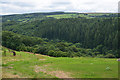 Cornwall : Countryside Scenery