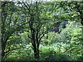 Glimpse of Pontsarn Viaduct