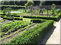 J5080 : Vegetable plot at the Castle Walled Garden, Bangor by Eric Jones