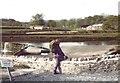 River Ribble flows over a weir