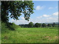 Field near Ryecroft Gate