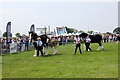 SJ7177 : Shire Horse Display at the Royal Cheshire County Show 2017 by Jeff Buck