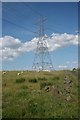 Sheep and pylon, Dyke Hill