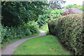 Footpath behind Canberra Crescent, Glasllwch