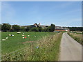 Approaching Dodholm Farm