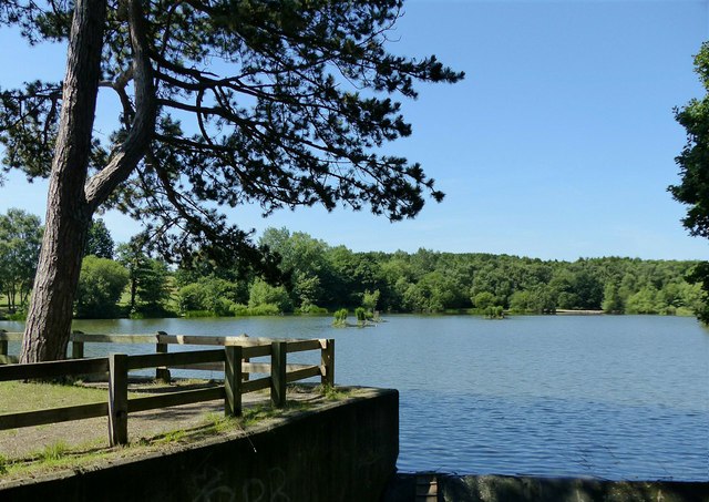 Osborne's Pond, Shipley Park